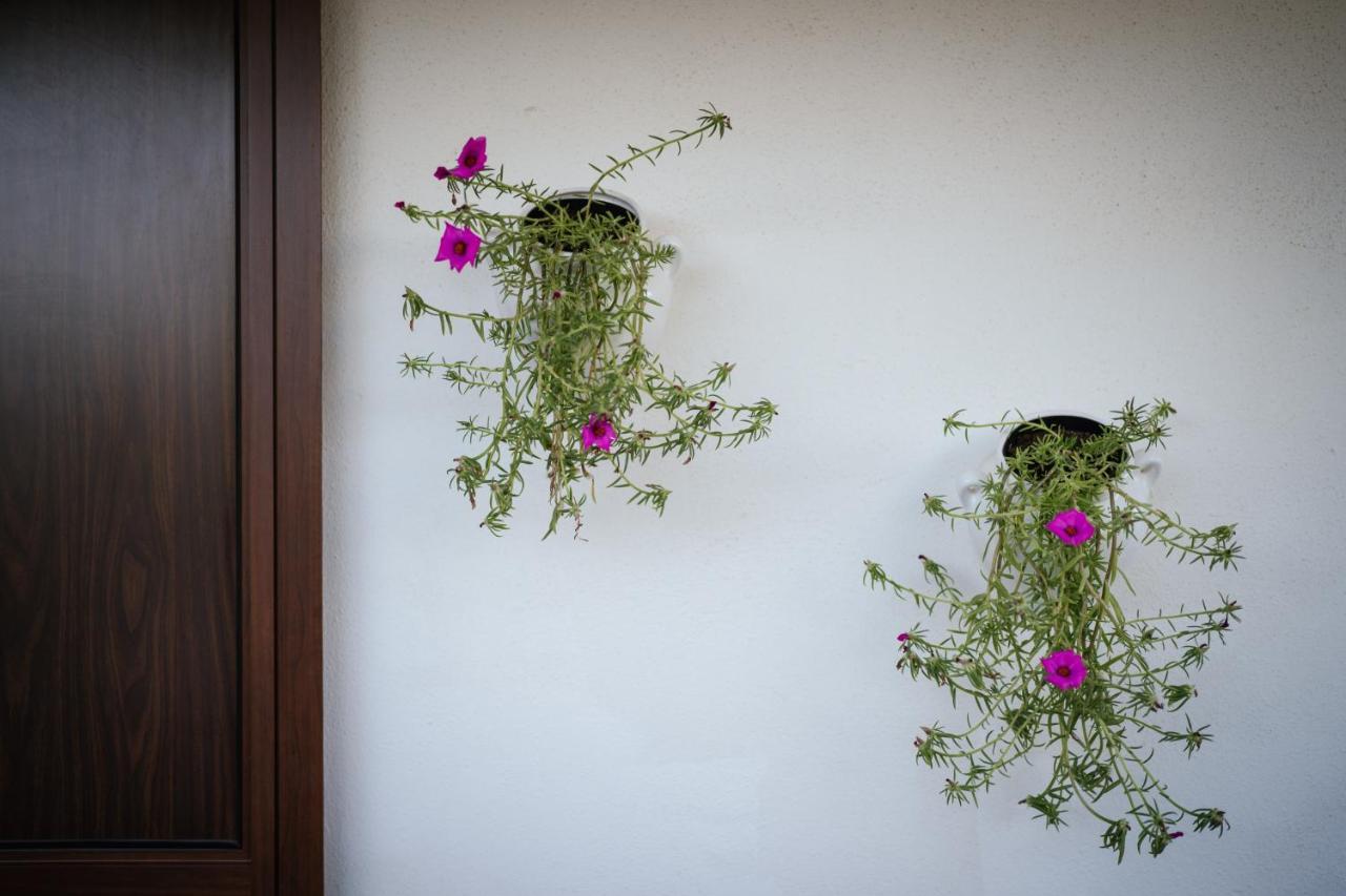 Prestigiosa Villa Con Piscina Condominiale モノーポリ エクステリア 写真