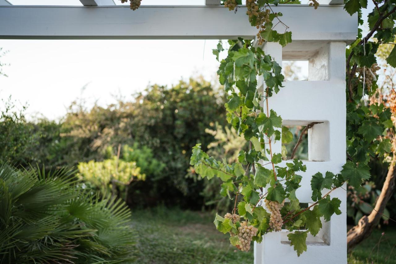 Prestigiosa Villa Con Piscina Condominiale モノーポリ エクステリア 写真