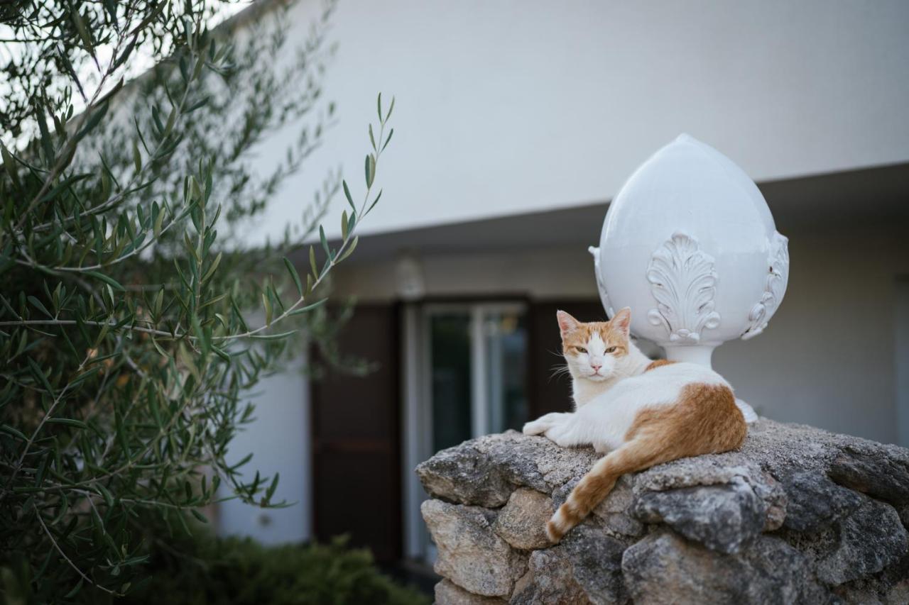 Prestigiosa Villa Con Piscina Condominiale モノーポリ エクステリア 写真